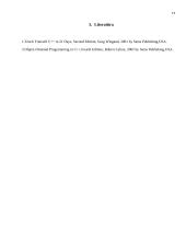 C++ kursinis 19 puslapis