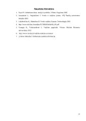 Vadybos savarankiškas darbas 13 puslapis