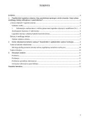 Vadybos savarankiškas darbas 3 puslapis