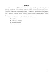 Vadybos savarankiškas darbas 4 puslapis