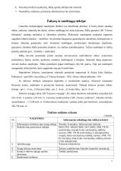 Vadybos savarankiškas darbas 7 puslapis