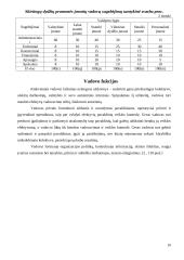 Vadybos savarankiškas darbas 10 puslapis