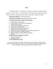 Guolio nuimtuvas 3 puslapis