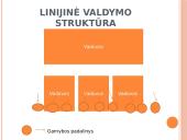 Linijinės valdymo struktūros 3 puslapis