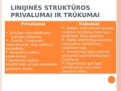 Linijinės valdymo struktūros 4 puslapis