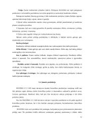 Asortimento politikos formavimas „Maxima“ įmonėje 12 puslapis