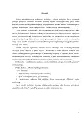 Asortimento politikos formavimas „Maxima“ įmonėje 3 puslapis