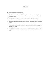 Politinės kultūros tipologija 2 puslapis