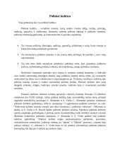 Politinės kultūros tipologija 3 puslapis