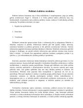 Politinės kultūros tipologija 4 puslapis