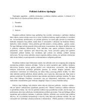 Politinės kultūros tipologija 7 puslapis