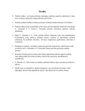 Politinės kultūros tipologija 10 puslapis