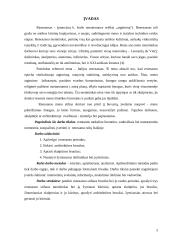 Italijos renesansas referatas 3 puslapis