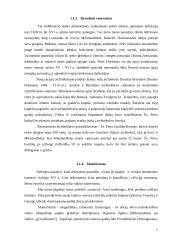 Italijos renesansas referatas 7 puslapis