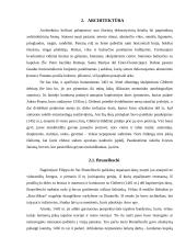 Italijos renesansas referatas 9 puslapis