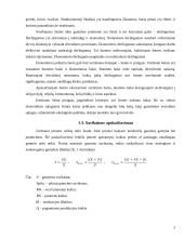 Ekonomikos dalyko savarankiškas darbas 5 puslapis