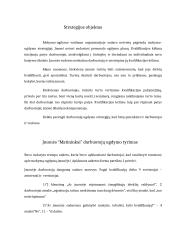 Turto vertinimo įmonė “Matininkai” 11 puslapis