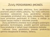 Akvakultūros produktų perdirbimas ir pardavimai 13 puslapis