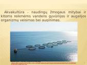 Akvakultūros produktų perdirbimas ir pardavimai 3 puslapis