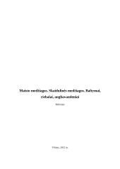 Maisto medžiagos. Skaidulinės medžiagos. Baltymai, riebalai, angliavandeniai