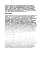 Maisto medžiagos. Skaidulinės medžiagos. Baltymai, riebalai, angliavandeniai 3 puslapis