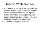 Biheiviorizmas 11 puslapis