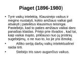 Biheiviorizmas 13 puslapis