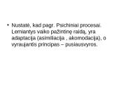 Biheiviorizmas 14 puslapis