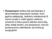 Biheiviorizmas 17 puslapis