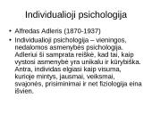 Biheiviorizmas 18 puslapis