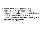 Biheiviorizmas 5 puslapis