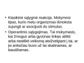 Biheiviorizmas 6 puslapis