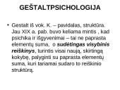 Biheiviorizmas 8 puslapis