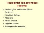 Asmeninių kompetencijų aplanko (portfolio) rengimas 14 puslapis