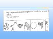 Atmintis - psichikos procesas 11 puslapis