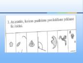 Atmintis - psichikos procesas 12 puslapis