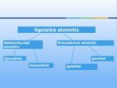 Atmintis - psichikos procesas 14 puslapis