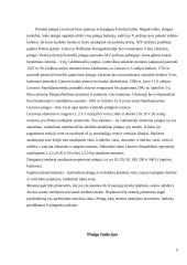 Pinigų funkcijos referatas 6 puslapis