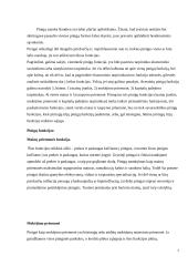 Pinigų funkcijos referatas 7 puslapis