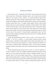 Pensijų fondai referatas 4 puslapis