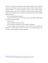 Pensijų fondai referatas 9 puslapis