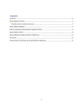 Privalomasis draudimas. Finansų teisės referatas  2 puslapis