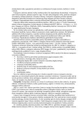 Referatas Darni ekonominė plėtra 11 puslapis