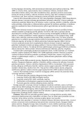 Referatas Darni ekonominė plėtra 13 puslapis