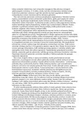 Referatas Darni ekonominė plėtra 14 puslapis