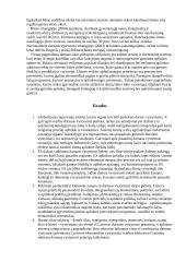 Referatas Darni ekonominė plėtra 15 puslapis