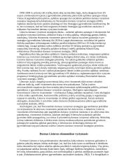 Referatas Darni ekonominė plėtra 8 puslapis