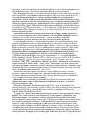 Referatas Darni ekonominė plėtra 9 puslapis