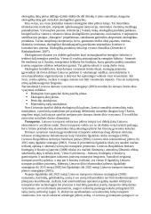 Referatas Darni ekonominė plėtra 10 puslapis