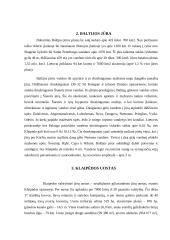 Baltijos jūrų uostų vystymosi plėtros tendencijos 4 puslapis